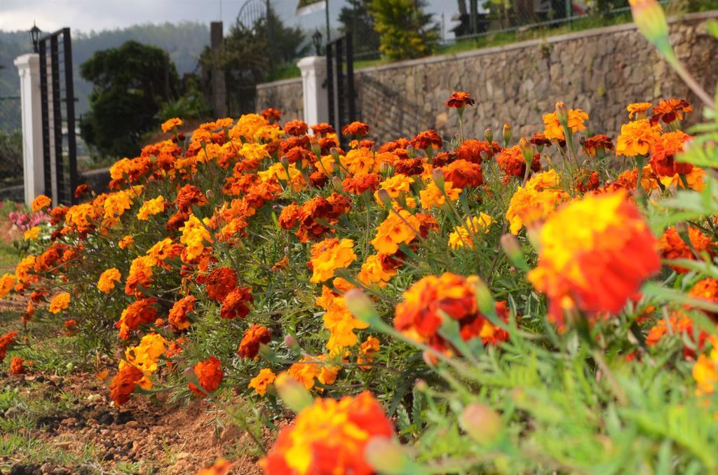 Thuring'S Holiday Bungalow Nuwara Eliya Exterior photo